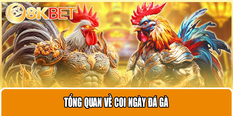 Tổng quan về coi ngày đá gà
