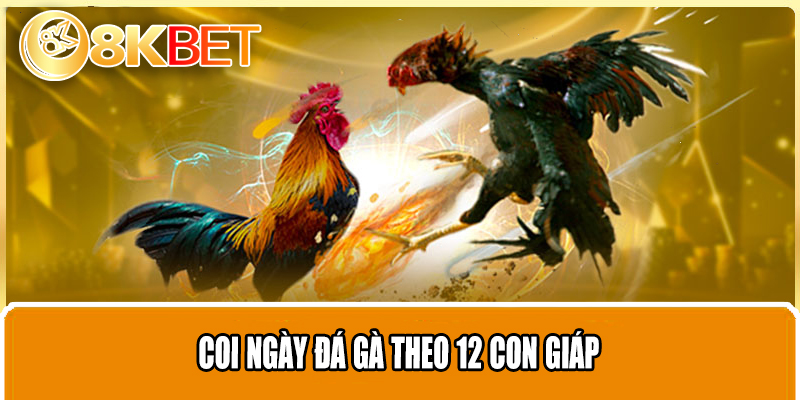 Coi ngày đá gà theo 12 con giáp