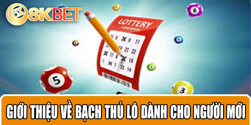 Giới thiệu về bạch thủ lô dành cho người mới