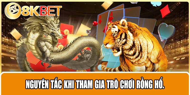 Nguyên tắc khi tham gia trò chơi Rồng Hổ.