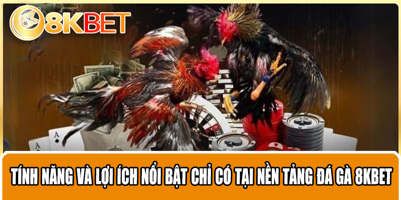 Tính năng và lợi ích nổi bật chỉ có tại nền tảng đá gà 8KBET